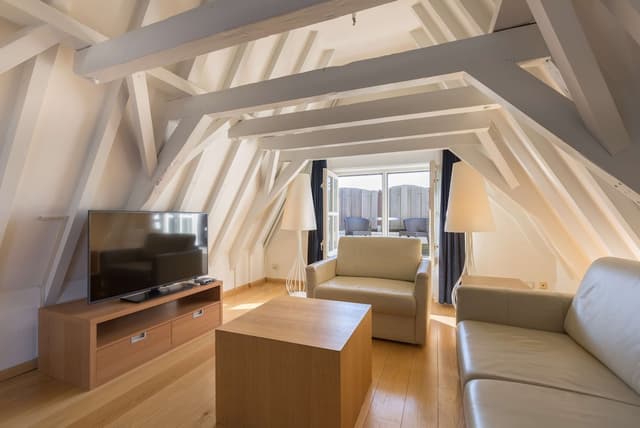 阿姆斯特丹市中心麗笙藍標酒店-套房, 露台 (Feature)-5