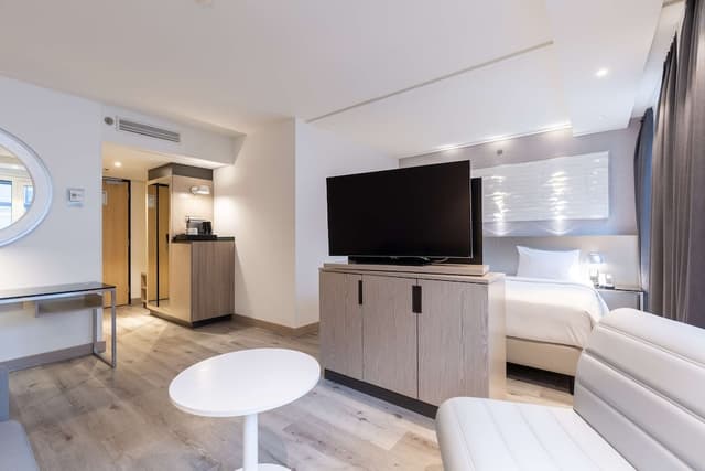 阿姆斯特丹市中心麗笙藍標酒店-普通套房-6