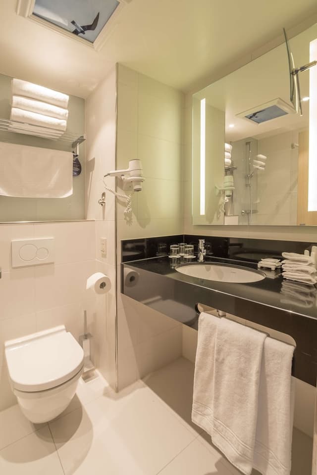 阿姆斯特丹市中心麗笙藍標酒店-特級客房-6