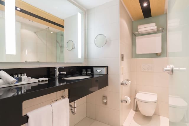 阿姆斯特丹市中心麗笙藍標酒店-特級客房-4