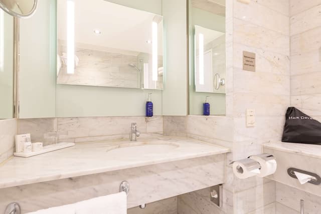 阿姆斯特丹市中心麗笙藍標酒店-高級客房-10