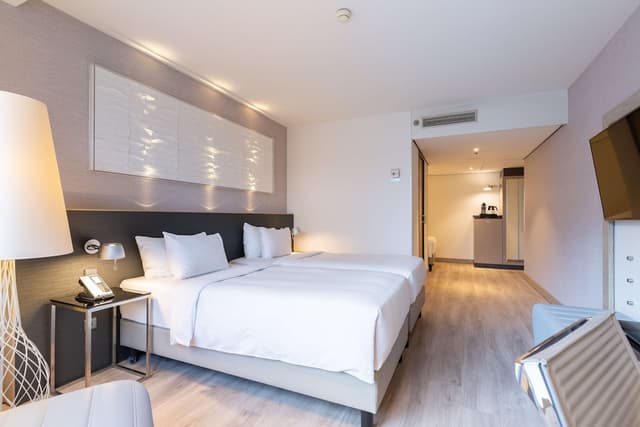 阿姆斯特丹市中心麗笙藍標酒店-普通套房-5