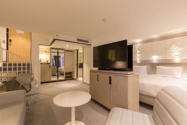 阿姆斯特丹市中心麗笙藍標酒店-普通套房-2