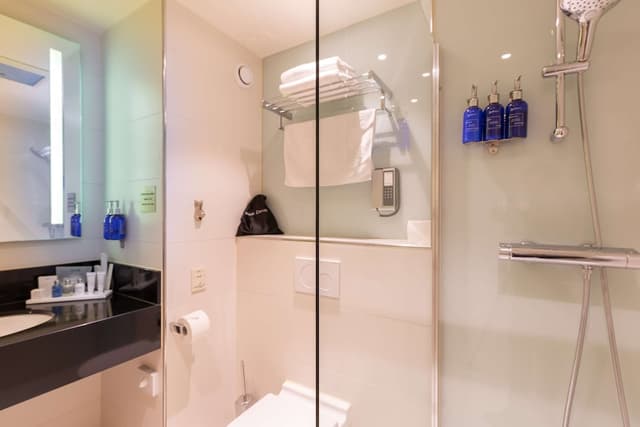 Radisson Blu Hotel, Amsterdam City Center-标准房-10