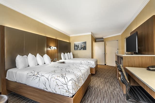 貝斯特韋斯特機場公園飯店 - 洛杉磯 LAX 機場-標準客房, 2 張標準雙人床, 吸煙房, 冰箱和微波爐-2