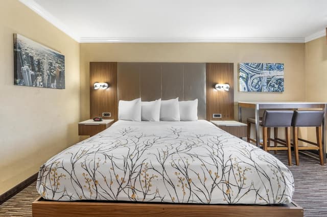 貝斯特韋斯特機場公園飯店 - 洛杉磯 LAX 機場-套房, 1 張特大雙人床, 非吸煙房, 按摩浴缸-4