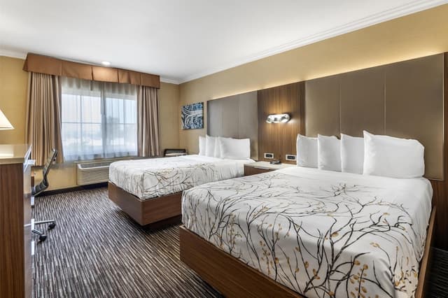 貝斯特韋斯特機場公園飯店 - 洛杉磯 LAX 機場-標準客房, 2 張標準雙人床, 吸煙房, 冰箱和微波爐-4