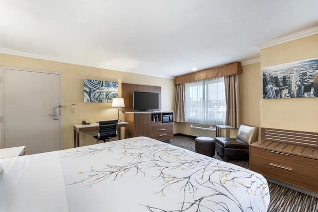 貝斯特韋斯特機場公園飯店 - 洛杉磯 LAX 機場-標準客房, 1 張特大雙人床, 非吸煙房-2