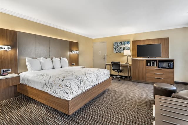 貝斯特韋斯特機場公園飯店 - 洛杉磯 LAX 機場-標準客房, 1 張特大雙人床, 非吸煙房-4