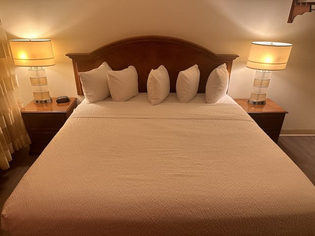 安克拉治溫德姆華美達飯店-客房, 1 張特大雙人床, 非吸煙房-1