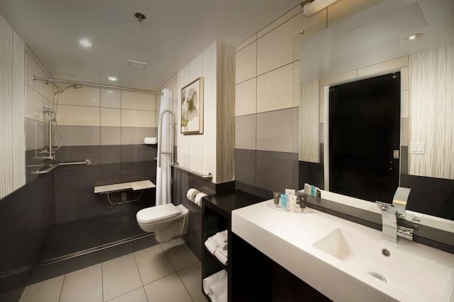 Skybridge Seattle Airport Hotel-Standard Room, 1 King Bed (Mobility/Hearing Access, Roll-in Shwr)-6