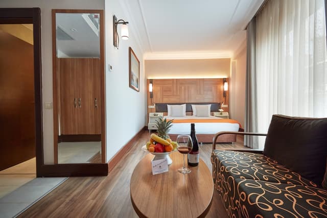 コナック ホテル タクスィム-ジュニア スイート 1 ベッドルーム バルコニー シティビュー-7