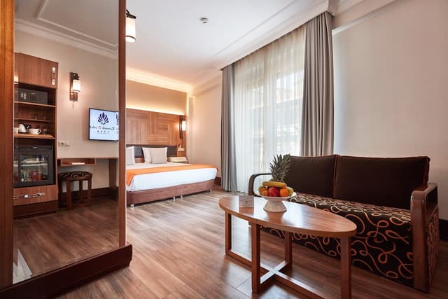 コナック ホテル タクスィム-ジュニア スイート 1 ベッドルーム バルコニー シティビュー-6