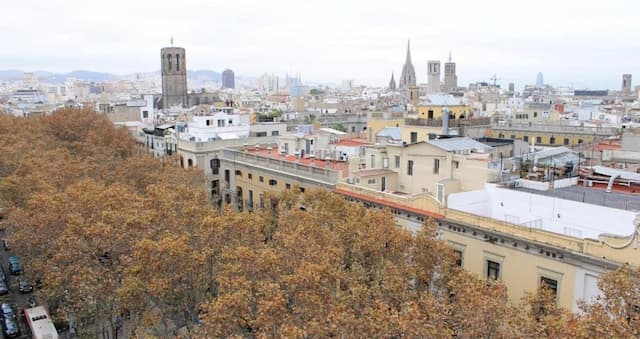 람블러스 바르셀로나-더블룸, 테라스-14