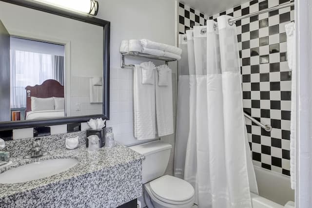 ベストウェスタン リバー ノース ホテル-スイート ベッド (複数台) 禁煙 冷蔵庫 (Living Room;with Sofabed)-4