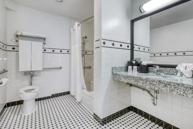 베스트 웨스턴 리버 노스 호텔-스탠다드룸, 킹사이즈침대 1개, 장애인 지원, 욕조-4