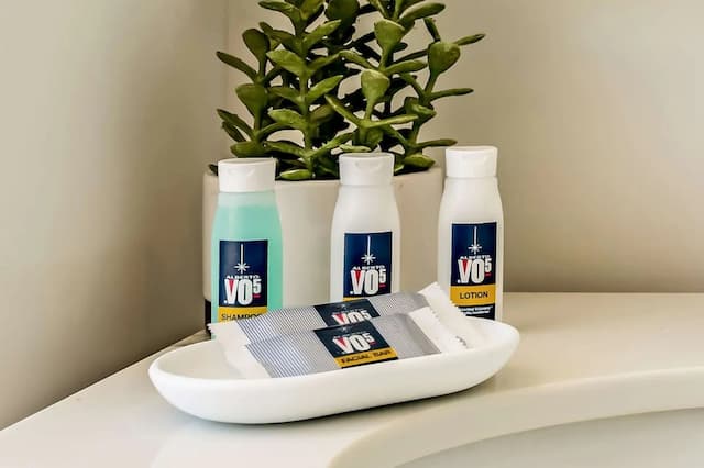 休斯敦佳樂利亞特色旅店-客房, 1 張特大雙人床, 非吸煙房-7