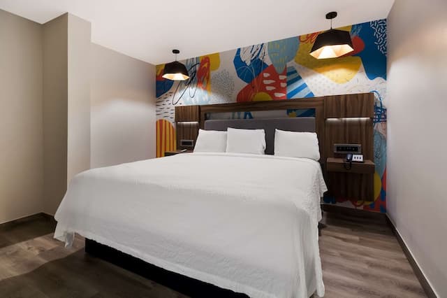 休斯敦佳樂利亞特色旅店-套房, 1 張特大雙人床, 非吸煙房-5