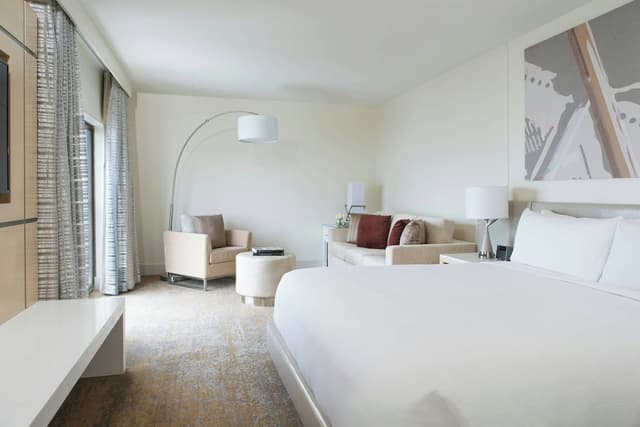 시카고 메리어트 다운타운 매그니피션트 마일-스튜디오 스위트, 킹사이즈침대 1개-1