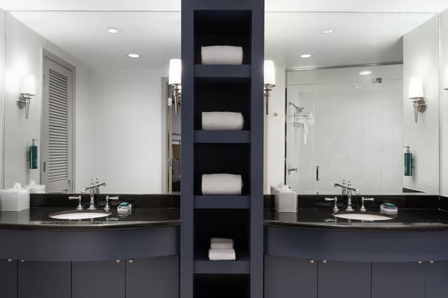 奧靈頓/埃文斯頓希爾頓飯店-總統套房, 1 張特大雙人床-10