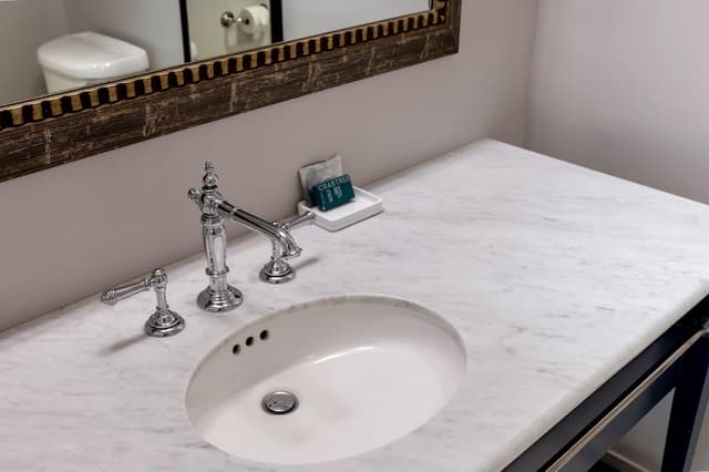 奧靈頓/埃文斯頓希爾頓飯店-套房, 1 張特大雙人床-15