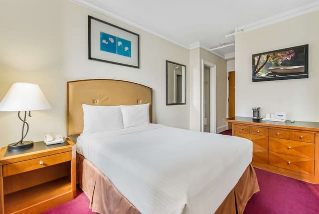 芝加哥市中心溫德姆旅遊旅館-雙人房-2