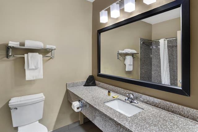 貝斯特韋斯特普拉斯傳承酒店-套房, 1 張特大雙人床, 非吸煙房, 雪櫃和微波爐 (with Sofabed)-5