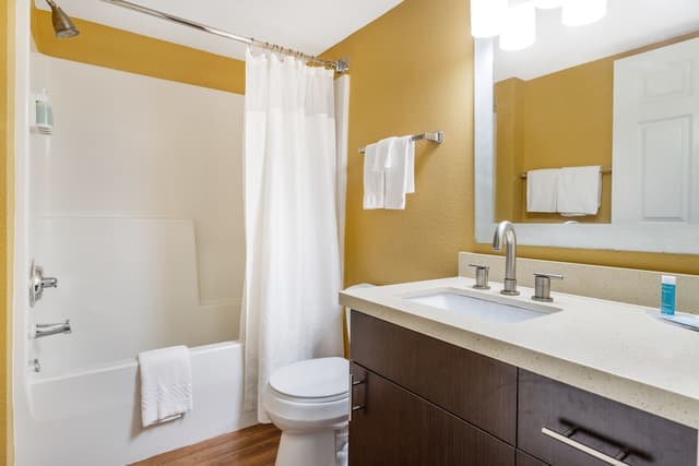 메인스테이 스위트 휴스턴 나사/클리어 레이크-스튜디오, 퀸사이즈침대 1개, 금연-5