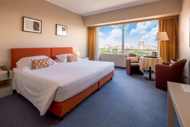 布萊絲法蘭西斯飯店-高級客房-7