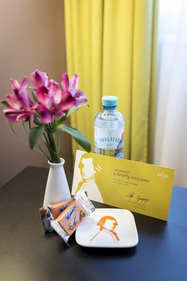 達斯提格拉飯店-舒適客房-14