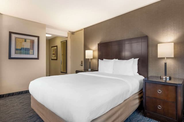 貝斯特韋斯特格蘭特公園飯店-標準客房, 1 張加大雙人床, 冰箱和微波爐, 湖景-3