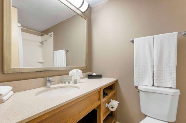 貝斯特韋斯特格蘭特公園飯店-標準客房, 2 張標準雙人床, 非吸煙房-4