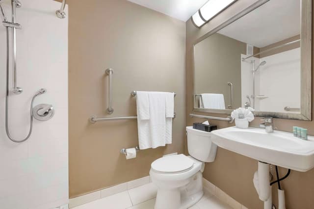 貝斯特韋斯特格蘭特公園飯店-標準客房, 2 張標準雙人床, 無障礙, 非吸煙房-4