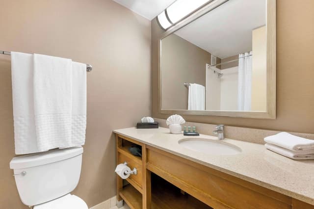 貝斯特韋斯特格蘭特公園飯店-套房, 2 張標準雙人床, 非吸煙房, 冰箱和微波爐 (Oversized Room;with Sofabed)-4