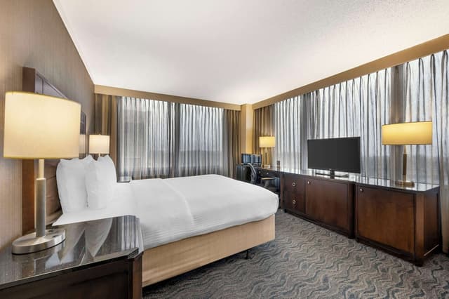 貝斯特韋斯特格蘭特公園飯店-標準客房, 1 張加大雙人床, 冰箱和微波爐, 湖景-1