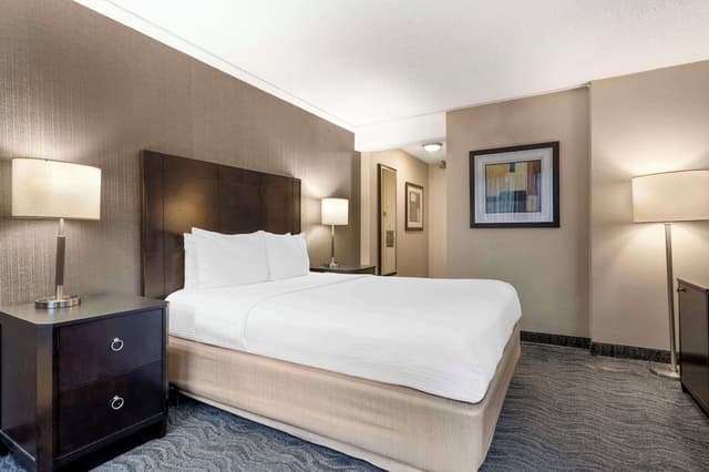 貝斯特韋斯特格蘭特公園飯店-標準客房, 1 張加大雙人床, 非吸煙房-3