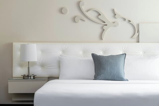 芝加哥城市中心 W 飯店-尊榮客房, 1 張特大雙人床 (Mobility/Hearing Access, Roll-In Shwr)-2