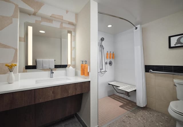 ソネスタ ES スイーツ シカゴ ダウンタウン マグニフィセント マイル - メディカル-スイート キングベッド 1 台ソファーベッド付き バリアフリー (One Bedroom Mobility Roll in Shwr)-7