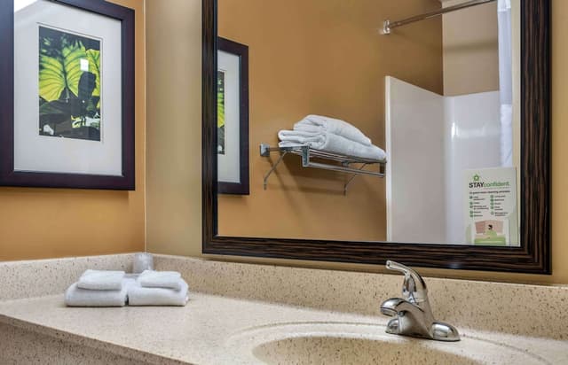 Extended Stay America Suites Seattle Bothell Canyon Park-华丽开间, 1 张大床和 1 张沙发床, 无烟房-5