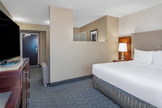 クラウン プラザ ロサンゼルス ハーバー ホテル by IHG-スタンダード ルーム キングベッド 1 台 ハーバービュー-8