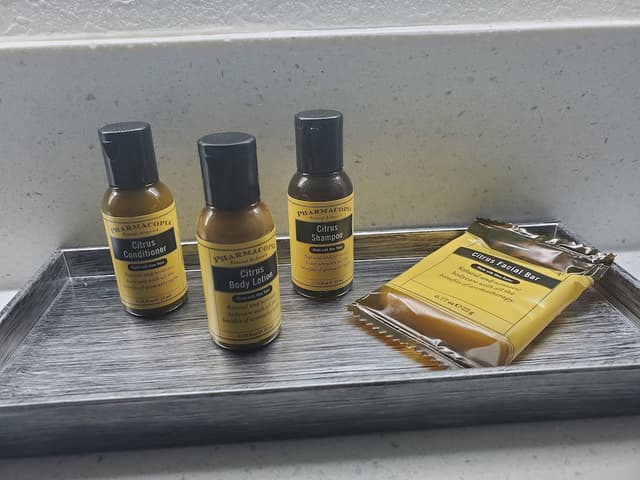 貝斯特韋斯特普拉斯倫頓酒店-標準客房, 1 張特大雙人床, 無障礙, 雪櫃和微波爐-5