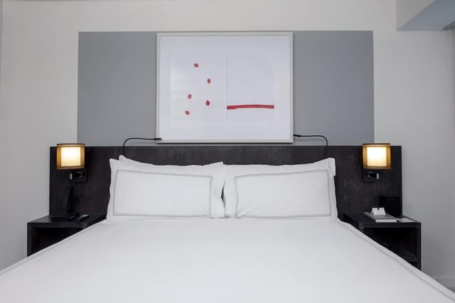 Conrad New York Downtown-Deluxe Suite, 1 King Bed, Accessible (Roll-in Shower)-6