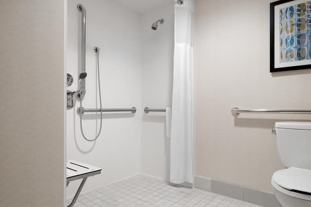 芝加哥市中心/華麗一英里希爾頓花園酒店-客房, 1 張特大雙人床, 無障礙 (Roll-In Shower)-8