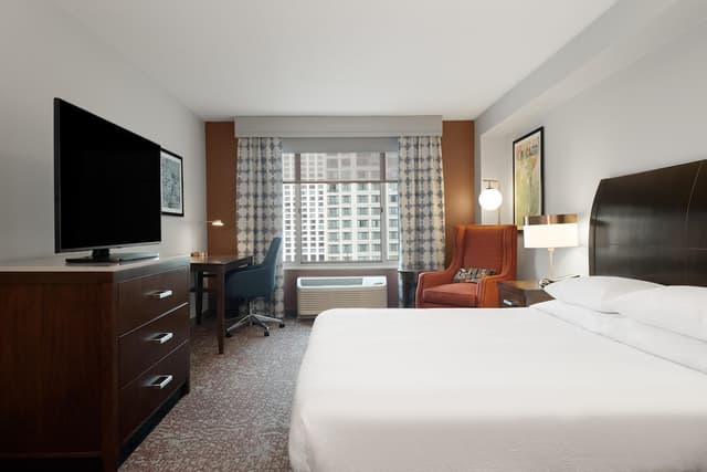 芝加哥市中心/華麗一英里希爾頓花園酒店-客房, 1 張特大雙人床, 無障礙, 浴缸-5