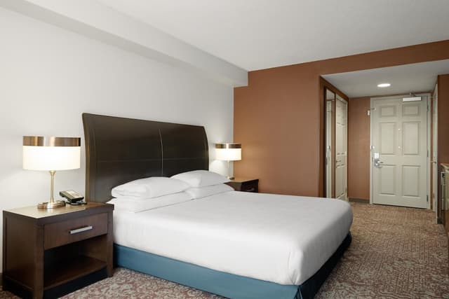 芝加哥市中心/華麗一英里希爾頓花園酒店-客房, 1 張特大雙人床, 無障礙 (Roll-In Shower)-5