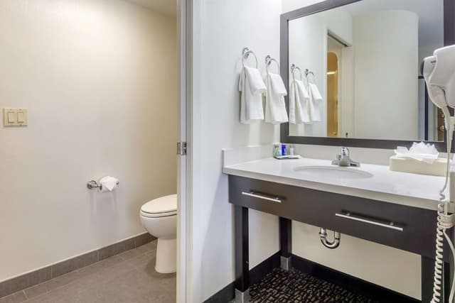 슬립 인 - 시택 에어포트-Standard Room, 1 King Bed, Non-Smoking, Refrigerator & Microwave-6