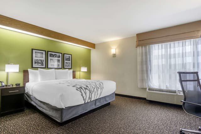 슬립 인 - 시택 에어포트-룸, 킹사이즈침대 1개, 장애인 지원, 금연-3