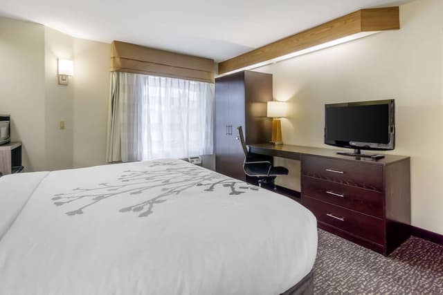 슬립 인 - 시택 에어포트-Standard Room, 1 King Bed, Non-Smoking, Refrigerator & Microwave-2