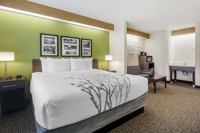 슬립 인 - 시택 에어포트-스위트, 킹사이즈침대 1개 및 소파베드, 금연-1