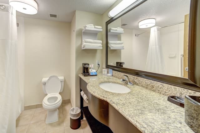 休士頓/清水湖 - Nasa 區希爾頓歡朋套房飯店-標準大床-5